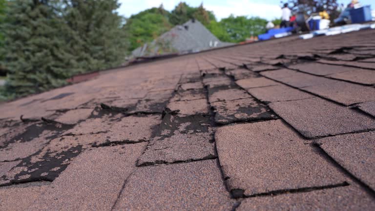 Best Slate Roofing  in Ely, NV